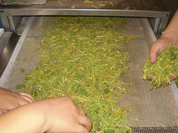 微波殺青設(shè)備